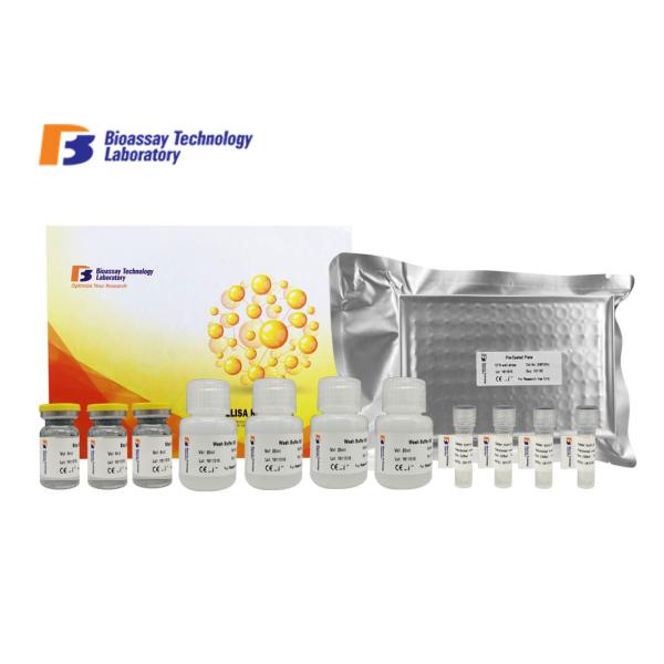BIN1 Sandwich Rat ELISA Kit Accurate Quantitative Detection With 2 Hours Assay