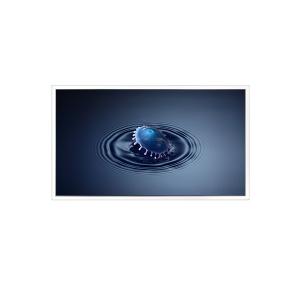 3840*2160 DV650QUB-N00 65inch 60Hz LCD Screen Display