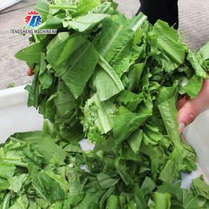 180KG Vegetable and melon slicing and slicing machine One machine multi-purpose