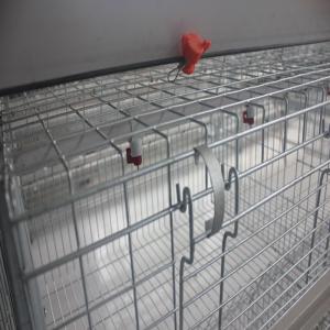 Galvanized Wire A Type 120 Birds Poultry Battery Chicken Cage For Layers