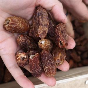 Jujube Seeds Fruit Pitting Machine