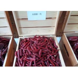 China Stemless Chinese Chaotian Szechuan Dried Red Chilli Peppers High SHU on sale