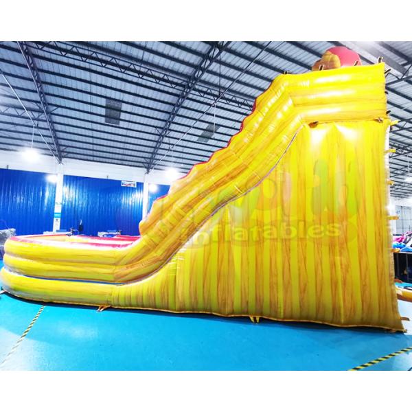 Adult Outdoor Inflatable Water Slides Playground Jumping Castle