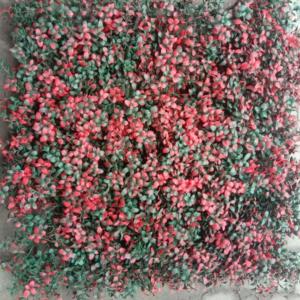 China Easy Installation Artificial Fake Wall Grass 50cm*50cm Size With Excellent Performance And Low Maintenance on sale