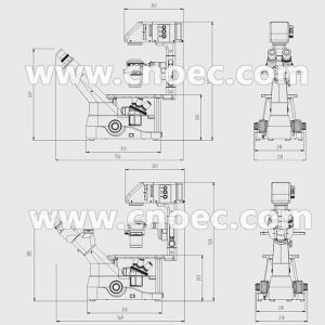 Infinity Color Binocular Trinocular Inverted Opitical Microscope , Kohler