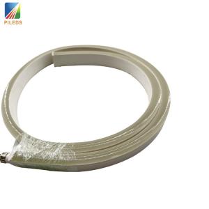 DMX512 UCS512 Neon Lights LED Light Strips with 3000K 6000K Color Temperature