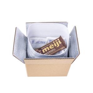 Inner Material EPE Insulated Cooler Liner for Cold Food Shipping and Thermal