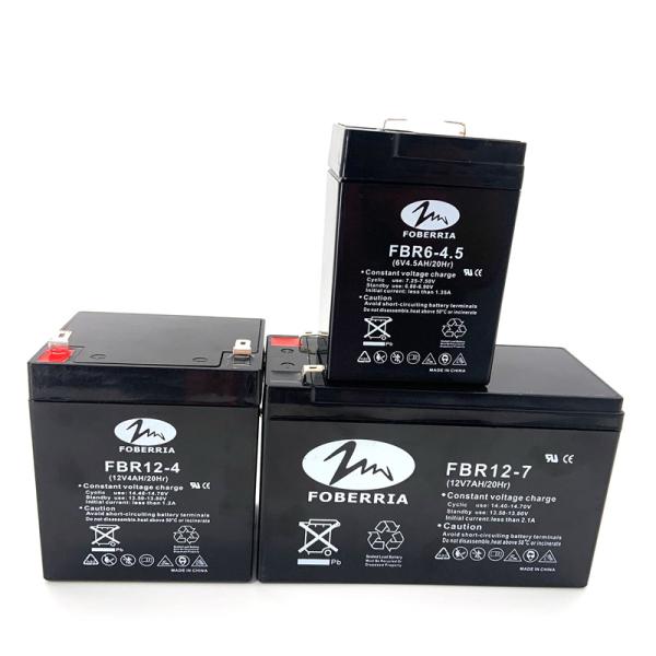 FBR Small Valve Regulated Sealed Lead Acid Battery 6V 100mm For Light System