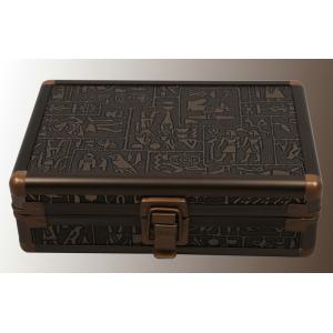 34 Reports Quantum Sub Health Analyzer