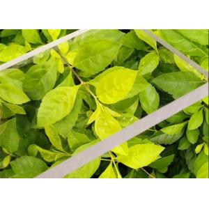 1/2" 3mm 5mm Plastic Board A3 A4 Polished Perspex PMMA Lucite Plate Cast Acrylic