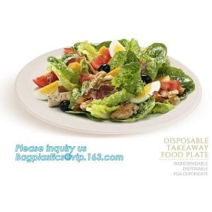 custom printed party plates disposable sugarcane bagasse plate Biodegradable