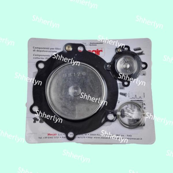 Quality Mecair DB120 Diaphragm Repair Kit 3-inch VEM220/VNP220 3-inch Electromagnetic Pulse Valve wholesale
