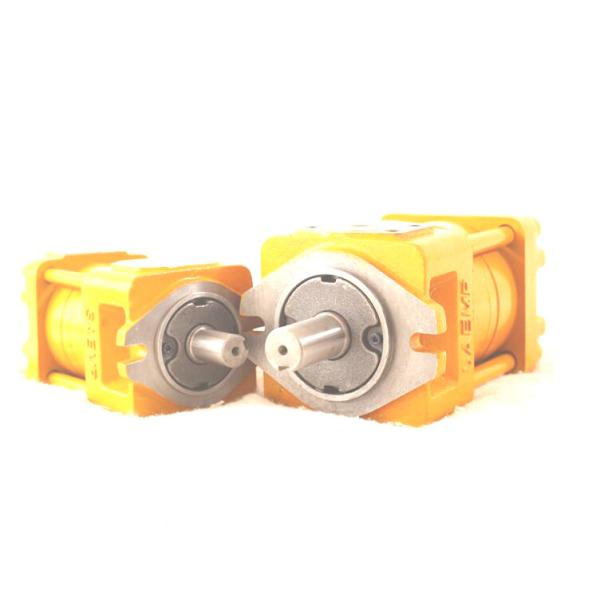 Quality NBZ2-C20F NBZ2-D10F NBZ2-G10F SAEMP Gear Pump wholesale