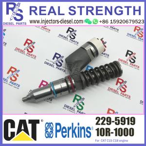 229-5919 Perkins Diesel Injector 10R-1000 For CAT Caterpillar Engine 3406E C15