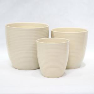 Stunning Plant Display With Our Ceramic Pots Various Sizes Available Ceramic