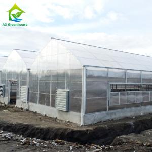 Plants Cultivation Single Span Polycarbonate PC Sheet Greenhouse with Stable Structure and Easy Assembly