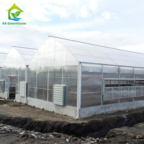 Quality Plants Cultivation Single Span Polycarbonate PC Sheet Greenhouse with Stable Structure and Easy Assembly wholesale