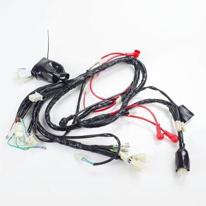 Home Appliance Custom Wire Harness with Y38 K20 Engine and Copper Conductors