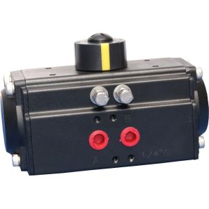 Hard Anodized Aluminum Pneumatic Cylinder with Epoxy Coated End Caps and Travel Adjustment ±5º