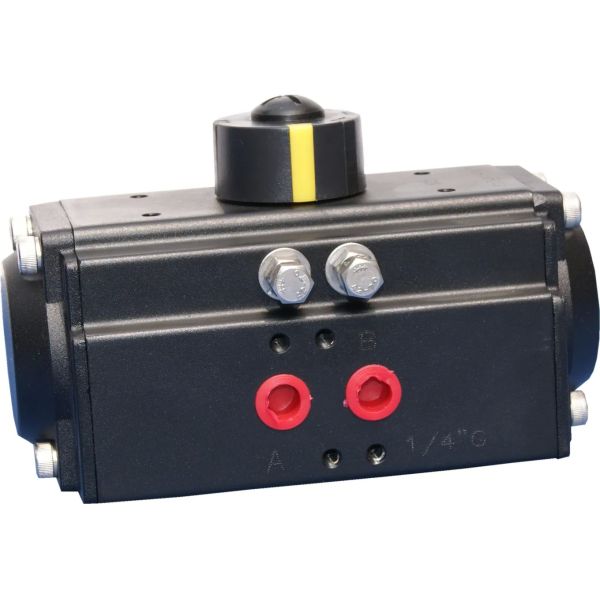 Hard Anodized Aluminum Pneumatic Cylinder with Epoxy Coated End Caps and Travel