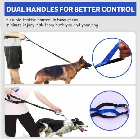 Dual Handle Adjustable Nylon Dog Leash Waist Belt Hands Free 4 Feet For Better Control