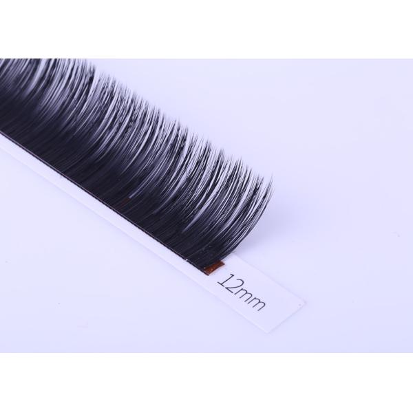 Volume 0.12MM Flat Eyelash Extensions , Ellipse Flat Lashes Synthetic Fiber Material