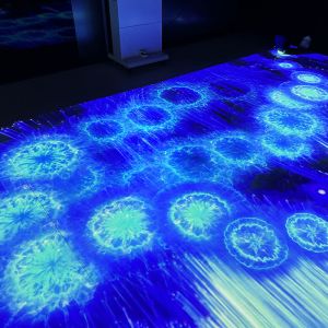 Cheap Portable Mobile Interactive Floor Projection System with 1280*800 Resolution and 110V-250V Voltage for sale