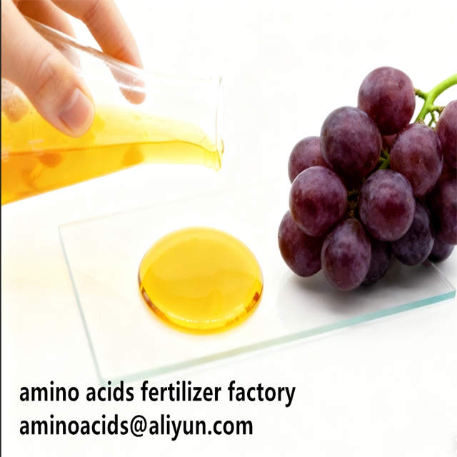 Amino Acid 80% Liquid Hydrolyzed Fertilizer with Free Amino Acid ≥750g/L Total Nitrogen ≥12.0% and High Solubility for Organic Farming