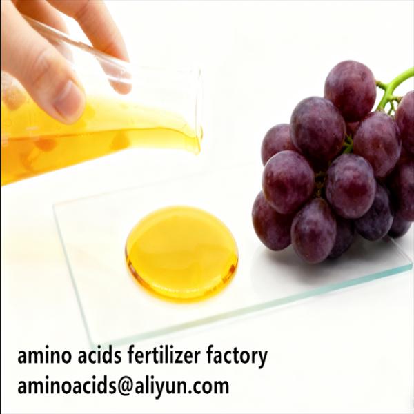 Quality Amino Acid 80% Liquid Hydrolyzed Fertilizer with Free Amino Acid ≥750g/L Total Nitrogen ≥12.0% and High Solubility for Organic Farming wholesale