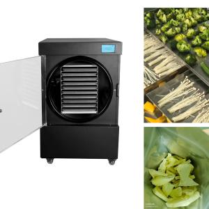 SUS304 Stainless Steel Shell Small Freeze Dryer for Fast and Precise Drying