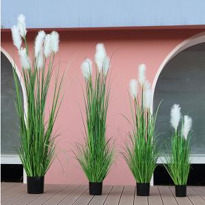 Durable Artificial Bonsai Tree Plush Fiber Silk Fabric Aloe Dog Tail Onion Grass