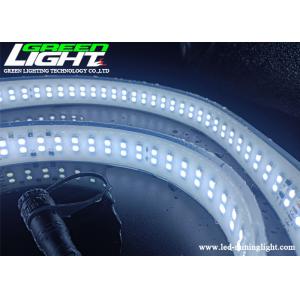 SMD2835 AC110V LED Neon Strip Lights White Color Silicone Double Row