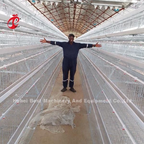 Quality 5 Tier 200 Birds Galvanized Poultry Layer Cage System For Chicken Farm Sandy wholesale