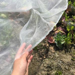White Anti Bee Net Hail Net Hail Proof Net for Tree Crop Protection, Bird Insect