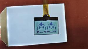 Cheap High Quality Positive Digit FSTN LCD Screen Custom Transmissive Display TN Lcd Module For Instrumentation for sale