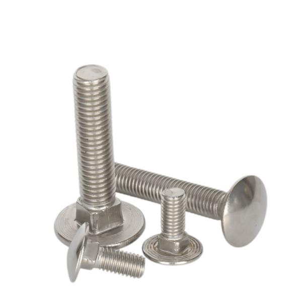 Stainless Steel Round Mushroom Head Square Neck Carriage Bolts Customized OEM Service