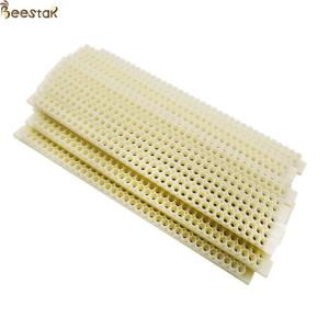 Apicultural Tools Plastic Queen Bee Frame Honey Bee Box Beekeeper Tool No Graft