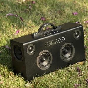 Stereo Portable Speaker With Microphone For Professional Presentations