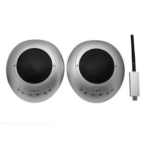 wireless batery daisy chain 2x microphone USB Omni-directional Conference