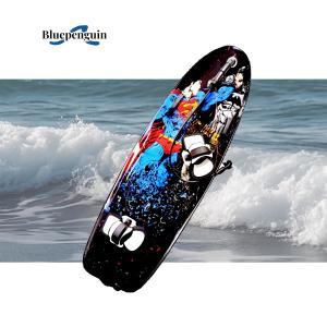 Cheap OEM Customized Guarantee Carbon Fiber Electric Surfboard for and Customized Design for sale