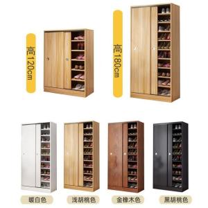 Simple Modern Multi-Layer Large Capacity Household Doorway Wooden Sliding Door
