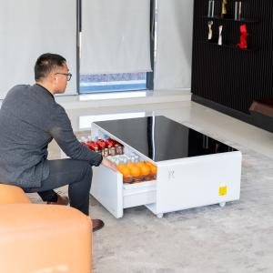 Hotel Bedroom Furniture Modern Coffee Table with Built-in Refrigerator Freezer