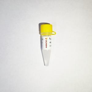 5X Reverse Transcription Mixture PowerScript RT SuperMix