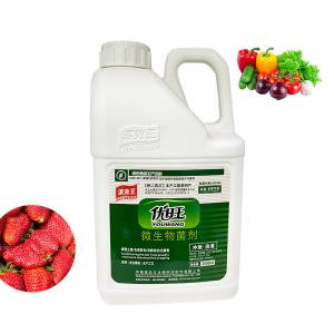 Self Operated Biotechnology Organic Compound Microbial Fertilizer