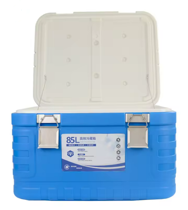 Versatile Insulated Ice Cooler Box with Hinged Lid and Ice Pack for Cold Chain