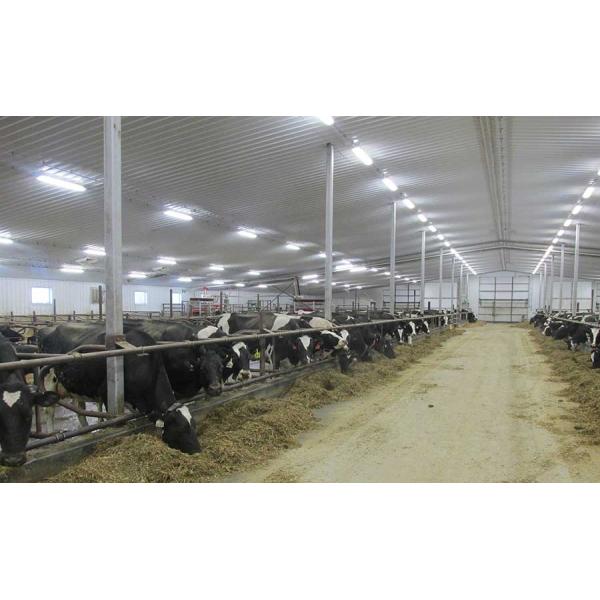 Dimmable 150W 4FT LED Vapor Tight Parking Lot Tri Proof Light Fixtures Lighting Solutions