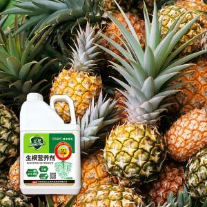 100% Plant Source Root Enhancer Organic Carbon Liquid Fertilizer