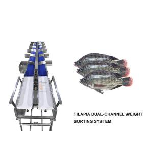 Fresh Live Fish 12 Grades Multihweight Sorter Machine Waterproof Grander Machine