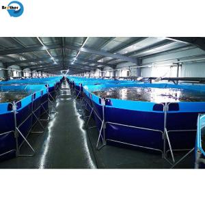 PVC Canvas Fish Tank Farming Fish Pond Tank for fish prawn