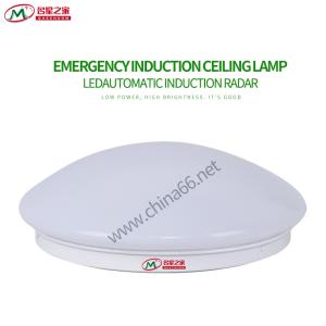 Ceiling induction emergency light 18 / 24WCeiling lamp, led induction lamp, fire